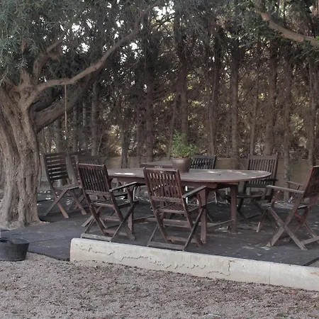 Holiday home Palmsdreams En Alicante *